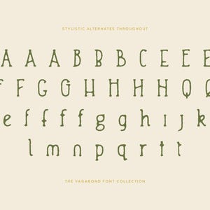 16 Rustic Vintage Fonts - the Vagabond Handcrafted Sans and Serif Font ...