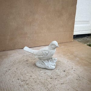 Small Bird Robin Statue Concrete Bird Forest Sculpture Bird on Stone Figurine Garden Bird Detailed Decoration Cement Bird Lovers Gift