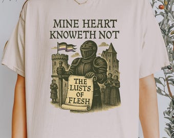 Middeleeuws shirt ongeslachtelijk, middeleeuwse kleding, cool queer shirt, losgeslagen shirts, Ace Pride T-shirt, Aroace Pride Knight shirt, LGBT Pride Merch