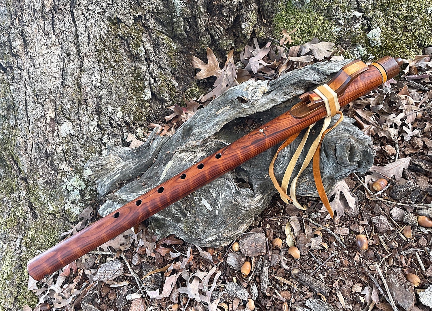 Curly Redwood Key of Dm Native American Style Flute, Tree of Life Designs