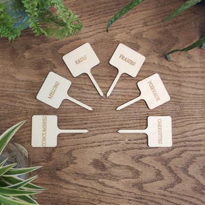 Op de afbeelding: Houten plantenstickers met Franse woorden voor verschillende groenten, waaronder radijsjes, aardbeien, meloenen, wortels, prei en komkommers.