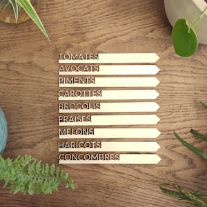 Peut inclure: Un ensemble de neuf étiquettes de plantes en bois avec des mots français pour différents légumes, notamment des tomates, des avocats, des poivrons, des carottes, des brocolis, des fraises, des melons, des haricots et des concombres.