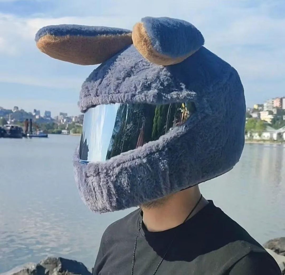 Helmet Cover Plush, Motorcycle Helmet Cover, Motorbike Funny Case, Funny  Heeds Crazy Case, Cap Helmet, Gift for Motorcycle Rider Australia