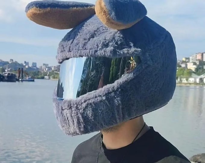 Helmet Cover Plush, Motorcycle Helmet Cover, Motorbike Funny Case, Funny Heeds Crazy Case, Cap Helmet, Gift for Motorcycle Rider