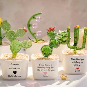 Plantes en pot en verre soufflé à la main, cadeau personnalisé de fête des mères pour maman, mini pot de fleur en verre, décoration personnalisée de lys tournesol tulipe