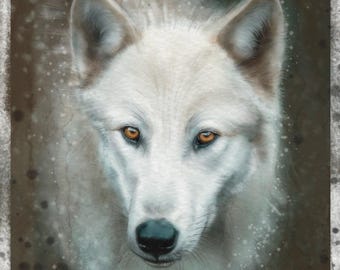 Watercolour white wolf painting print