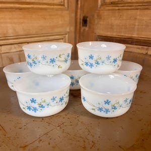 Puede incluir: Un conjunto de seis cuencos blancos y redondos con un delicado estampado floral azul. Los cuencos están dispuestos en grupo, mostrando su diseño. El estampado floral incluye pequeñas flores azules y hojas verdes.