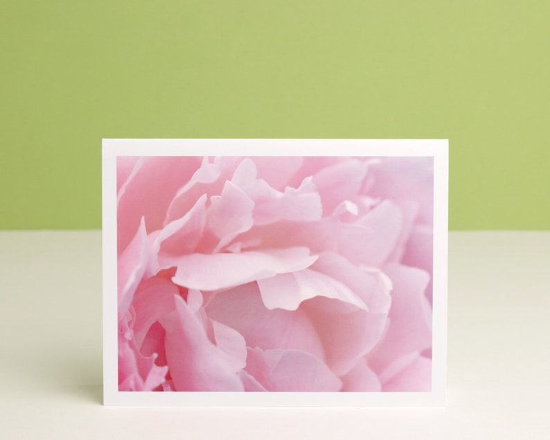 Pink Peony Photo Note Card blush flower petals macro photography stationery