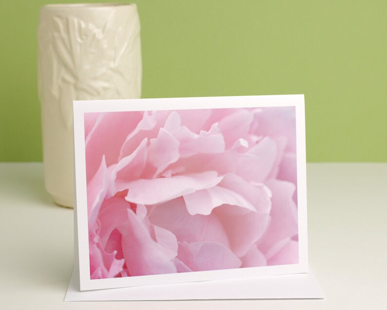 Pink Peony Photo Note Card blush flower petals macro photography stationery
