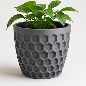 Könnte beinhalten: Ein grauer Blumentopf mit Wabenmuster enthält eine grüne Pflanze. Der Topf hat eine zylindrische Form und eine strukturierte Oberfläche aus sich wiederholenden sechseckigen Formen. Die Pflanze hat große, glänzende grüne Blätter.