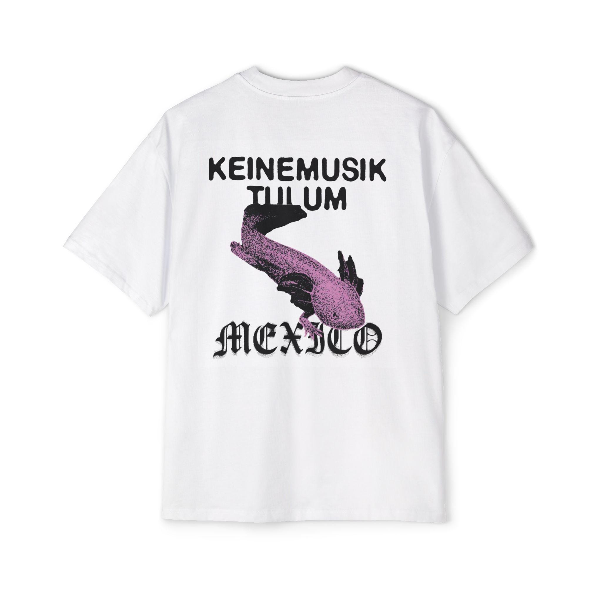 Note Musicali Allineate In File Pari Sullo Sfondo Della Bandiera Nazionale Del Messico. Il - Foto 8