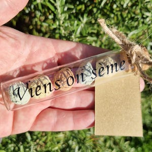 Des bombes de Graines à semer dans un tube en verre avec le message "Viens on sème" à offrir à vos invités pour vos événements
