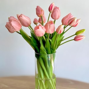 K&ouml;nnte beinhalten: Ein Strau&szlig; hellrosa Tulpen mit gr&uuml;nen Stielen und Bl&auml;ttern in einer klaren, zylindrischen Glasvase mit Wasser. Die Tulpen befinden sich in verschiedenen Bl&uuml;hstadien, von geschlossenen Knospen bis hin zu voll ge&ouml;ffneten Bl&uuml;ten mit rosa Bl&auml;ttern.