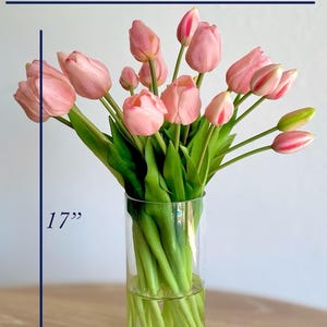 K&ouml;nnte beinhalten: Ein Strau&szlig; rosa Tulpen mit gr&uuml;nen Stielen und Bl&auml;ttern in einer zylindrischen Vase aus klarem Glas. Das Arrangement misst 40,64 cm in der Breite und 43,18 cm in der H&ouml;he, wie durch die blauen Messlinien im Bild angezeigt wird.