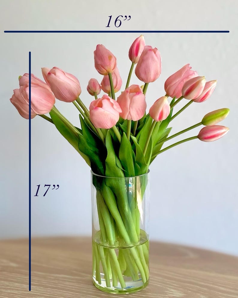 K&ouml;nnte beinhalten: Ein Strau&szlig; rosa Tulpen mit gr&uuml;nen Stielen und Bl&auml;ttern in einer zylindrischen Vase aus klarem Glas. Das Arrangement misst 40,64 cm in der Breite und 43,18 cm in der H&ouml;he, wie durch die blauen Messlinien im Bild angezeigt wird.