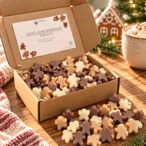 Op de afbeelding: Een kartonnen doos gevuld met kleine sojawas-smeltblokjes in de vorm van peperkoekmannetjes in bruin-, beige- en crèmetinten. Het deksel bevat een label met de tekst MINI GINGERBREAD TREATS, 100% SOY WAX MELTS, HANDPOURED en EROS met kleine illustraties.