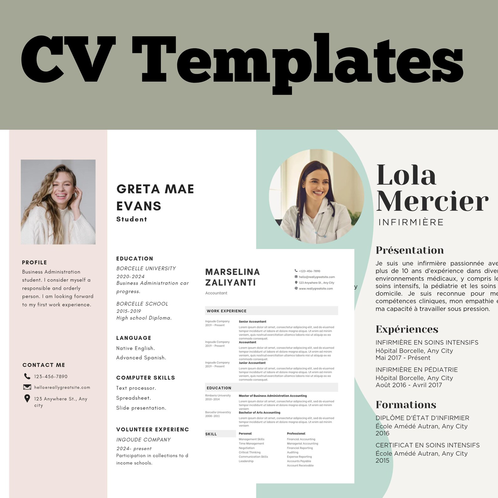 100 Editable Canva CV Templates PLR+20 Cover Letters,rebrandable Resume ...