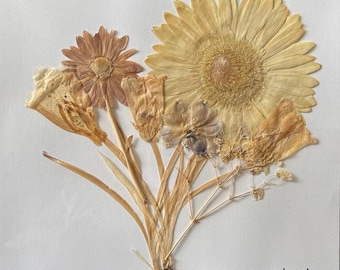 Real Dried Flower Print, Pressed Flower Art, Real Dried Flower, Botanical Wall Decor, Handmade Nature Art, Wall Hanging, Art Print