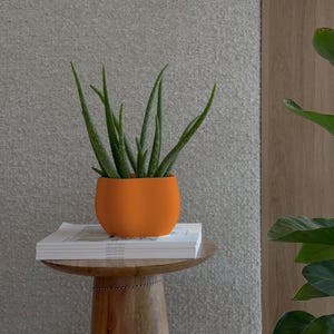 Oranje bloempot | EDEN PLANTER levendige papaja, kleurrijke plantenpot, voor groene planten, kamerplantenpot, Dopamine Decor, kleurrijke opbergpot