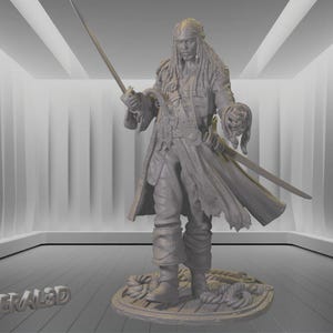 May include: A gray 3D-printed statue of a pirate figure, holding two swords and a skull. The figure is standing on a base with nautical elements. The statue is set in a minimalist, white-walled room with the word "MERALED" at the bottom.