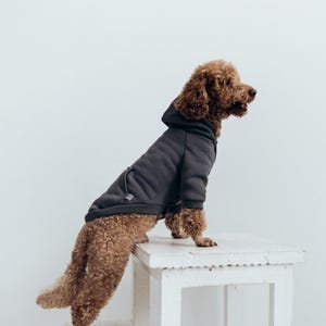 Cozy Cotton Dog Hoodie for Small and Medium Dogs || Dog Top || Dog Sweater