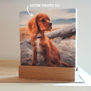 Pode incluir: Um azulejo de pedra quadrado com a imagem impressa de um cão spaniel castanho sentado ao ar livre, inserido numa base retangular de madeira clara. O texto VOTRE PHOTO ICI está impresso no topo com uma seta branca a apontar para o cão.