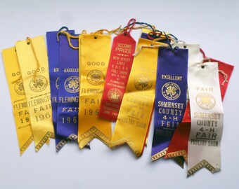 16 Vintage New Jersey 4H Ribbons, 1960s Poultry Ribbons, Flemington and Somerset County Fair Prize Ribbons