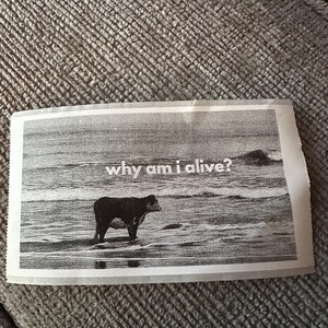 Waarom leef ik? | Lofi labeltape sticker
