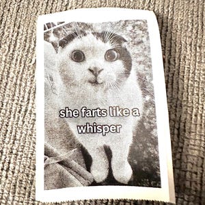 Murmure de chat | Ruban adhésif autocollant Lofi