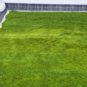 May include: A green shag rug with a white border. The rug has a wavy edge and is made of soft, fluffy fibers.