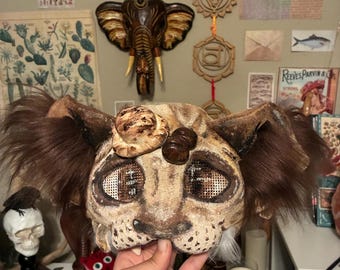 Handmade Coffee Cat Mask!