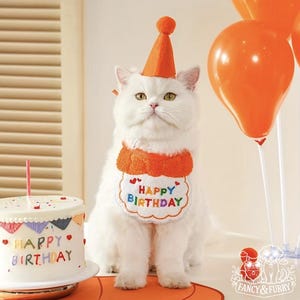 Alles Gute zum Geburtstag Haustier Hut und Bandana Set | Verstellbares Lätzchen mit Schleife für Katzen und Hunde | Perfektes Party Outfit Fun Feier Zubehör