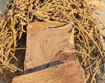 Ceremonial Cacao & Chilcuague Root Bundle for Rituals and Wellness