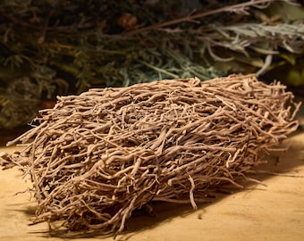 Chilcuague Root, Wild Mexican Botanical, Tingling Raw Spicy Herb