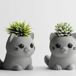 Op de afbeelding: Twee grijze katvormige bloempotten met groene en gele vetplanten. De potten hebben zwarte ogen, roze neuzen en zwarte snorharen. Eén kat zit, de andere zit.