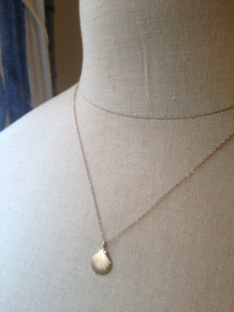 Gold Seashell Necklace Tiny Seashell Seashell Charm Etsy