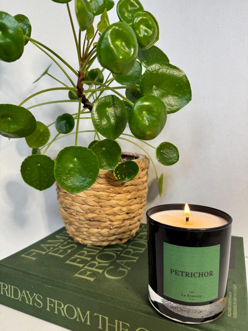 LaReunionCo Petrichor Coconut Soy Wax Candle - Thumbnail 2