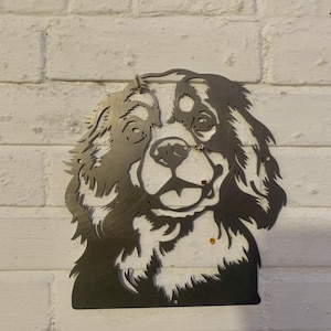 Cavalier King Charles Spaniel