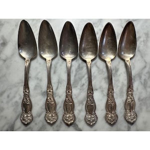 May include: A set of six silver-toned metal spoons arranged in a row. Each spoon features an elongated oval bowl and a handle decorated with embossed floral patterns at the base and along the stem, showing a polished metallic finish throughout.