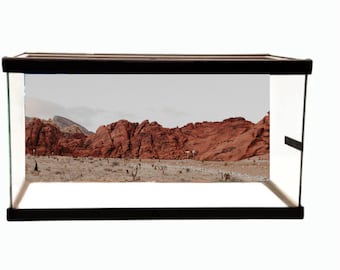 Terrariumachtergrond, woestijn downloaden