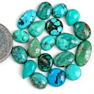 Peut inclure: Dix-neuf pierres précieuses turquoise en vrac de formes ovales et en goutte, allant du bleu clair au vert profond avec des veines de matrice sombres. Une pièce de quarter américain est placée à côté pour l'échelle. Texte : SSG-6642, 9x7mm - 14x10mm, 19 Pieces.