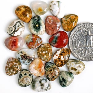 Orbicular Ocean Jasper Cabochon Naturliga Flatback Lösa Ädelstenar för Smyckestillverkning