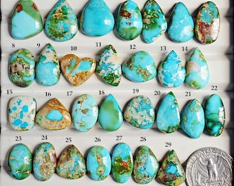 AAA+ Sonoran Gold Mountain Türkis Cabochon, natürlicher flacher Edelstein für die Schmuckherstellung