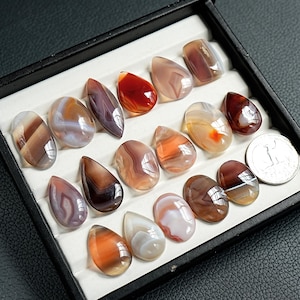 K&ouml;nnte beinhalten: Eine Sammlung polierter, mehrfarbiger Achat-Cabochons in ovalen und tropfenf&ouml;rmigen Formen, angeordnet in einer schwarzen Pr&auml;sentationsbox mit wei&szlig;en F&auml;chern. Die Steine weisen geb&auml;nderte Muster in Braun-, Orange-, Rot- und Wei&szlig;t&ouml;nen auf.
