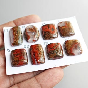 May include: A collection of eight polished, cabochon-cut gemstones arranged on a white card labeled with numbers 17 through 24. The stones feature intricate patterns of deep red, brown, and translucent white, displaying varied rectangular and oval shapes.