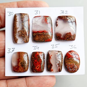May include: A collection of seven polished cabochon gemstones arranged on a white card labeled with numbers 30 through 36. These stones feature translucent white, brown, and vibrant red patterns with intricate, moss-like inclusions throughout.