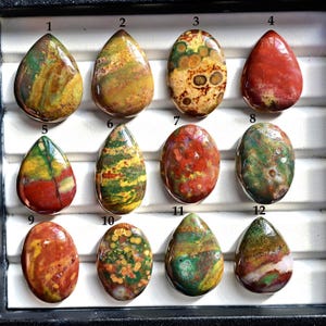 Pode incluir: Uma coleção de doze pedras preciosas polidas em várias formas e cores. As pedras exibem uma variedade de tons, incluindo vermelho, verde, amarelo e marrom, com padrões e texturas únicos. Cada pedra é colocada em uma bandeja preta.