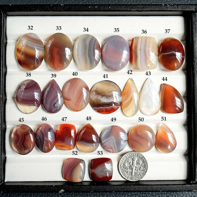 K&ouml;nnte beinhalten: Eine Sammlung polierter, mehrfarbiger Achat-Cabochons in einem schwarzen Pr&auml;sentationstablett. Jeder Stein ist von 32 bis 53 nummeriert und weist verschiedene geb&auml;nderte Muster in Rot-, Braun-, Grau- und Wei&szlig;t&ouml;nen auf. Eine M&uuml;nze dient als Gr&ouml;&szlig;envergleich.