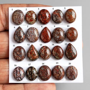 May include: Twenty polished gemstones are displayed, each with a unique shape and pattern. The stones feature a mix of red, brown, and grey hues. The collection includes oval and teardrop shapes, each numbered from 1 to 20.