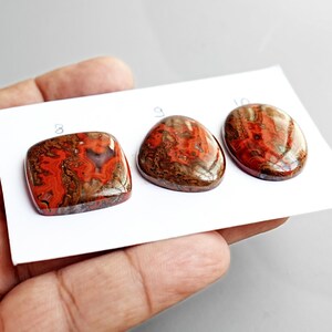May include: Three polished cabochon gemstones with intricate patterns of deep red, brown, and black swirls. The stones are labeled 8, 9, and 10 on a white card, featuring a square, a rounded triangle, and an oval shape with a glossy finish.